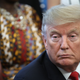 Illustration for article titled It’s Confirmed, President Trump Is a Damn Dotard